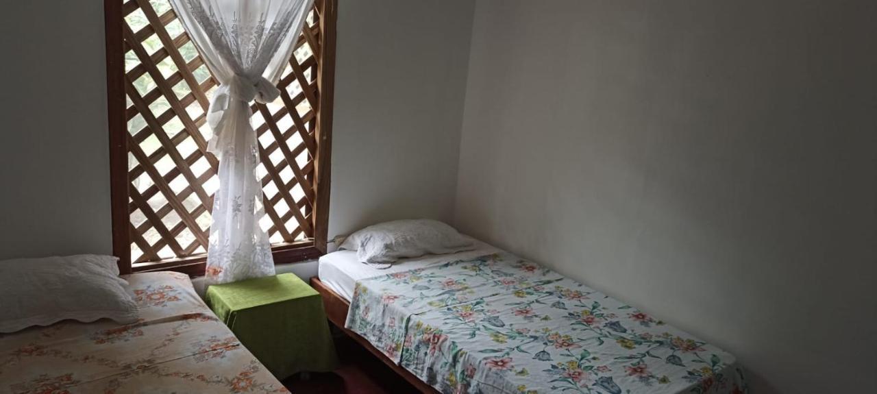 Hospedaje Meryscar Tortuguero Εξωτερικό φωτογραφία