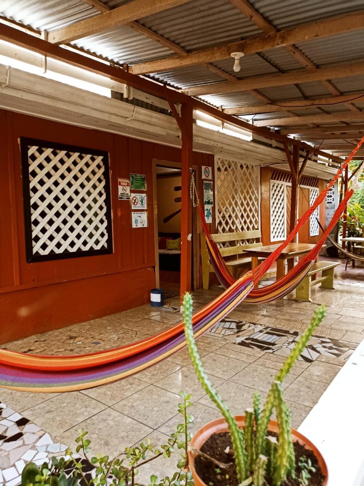 Hospedaje Meryscar Tortuguero Εξωτερικό φωτογραφία