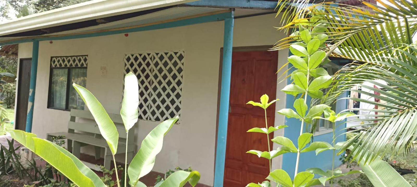 Hospedaje Meryscar Tortuguero Εξωτερικό φωτογραφία