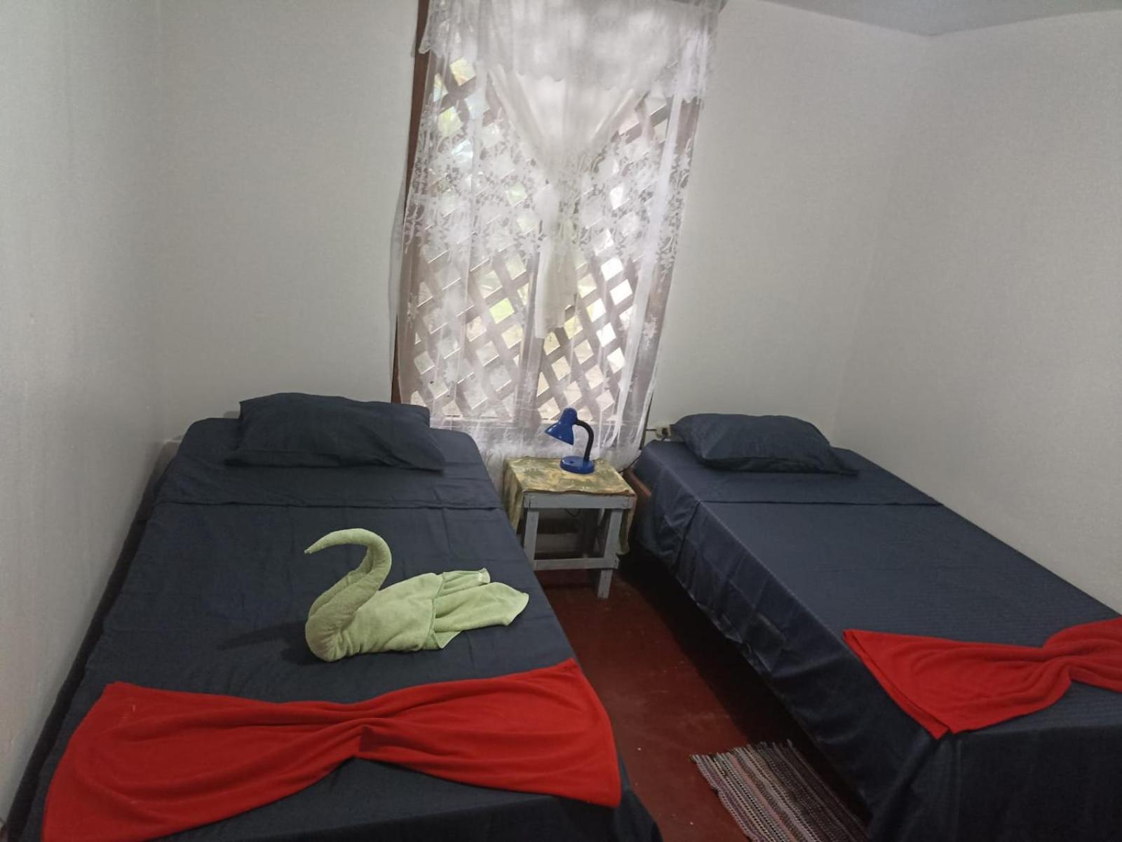 Hospedaje Meryscar Tortuguero Εξωτερικό φωτογραφία
