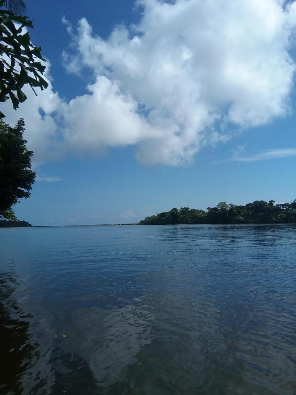 Hospedaje Meryscar Tortuguero Εξωτερικό φωτογραφία