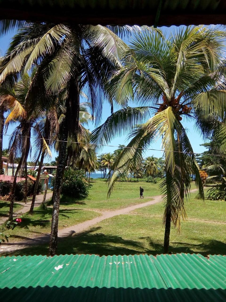 Hospedaje Meryscar Tortuguero Εξωτερικό φωτογραφία
